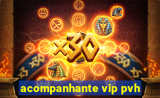 acompanhante vip pvh